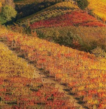 Astixio Holiday home *